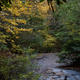Illustration for article titled Fall Photos 2